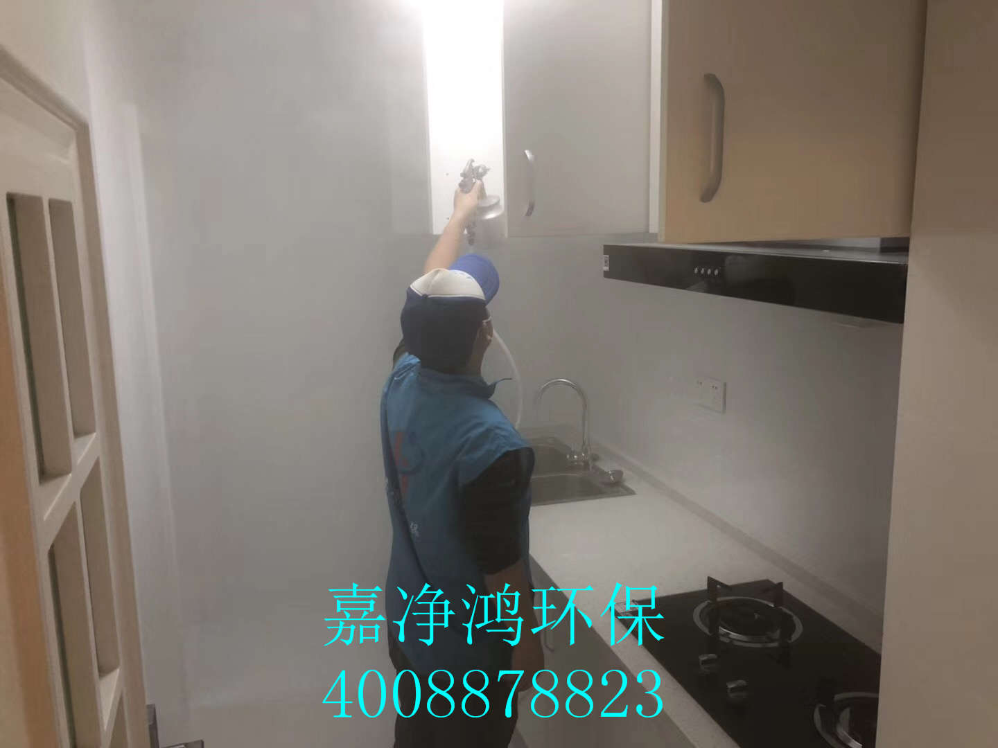 武漢市嘉凈鴻環?？萍加邢薰? style=